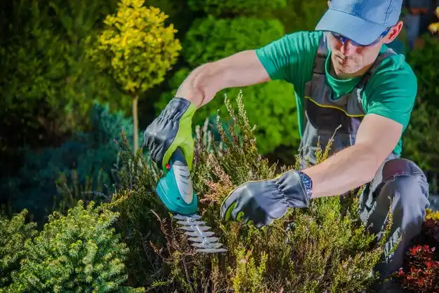 landscaping services De Kalb